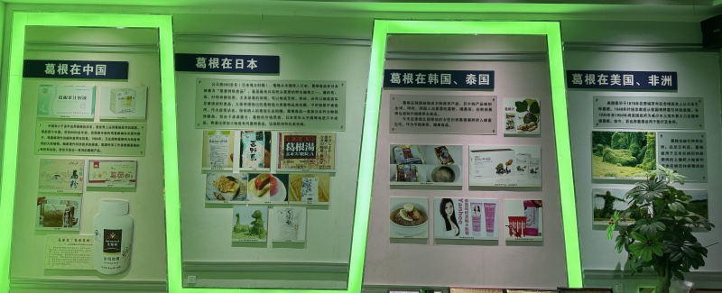 葛根在全球的應用.jpg