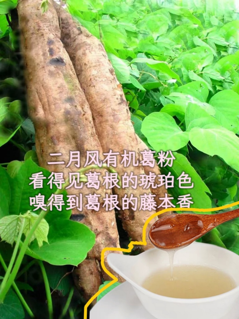 二月風(fēng)有機(jī)葛粉，看得見葛根的琥珀色，嗅得到葛根的藤本香_800.jpg