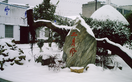 二月風(fēng)致老友：一碗葛根粉的牽掛，農(nóng)博會上的重逢之約二月風(fēng)盼老友：農(nóng)博會上，再續(xù)葛粉情緣