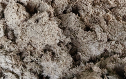 深入大洪山，只為一口純凈 -二月風(fēng)今冬野生葛根收購紀(jì)實(shí)